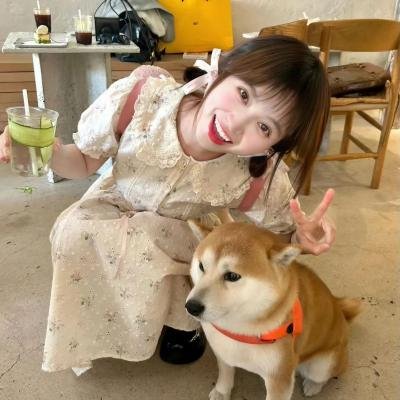 最爱2019封面